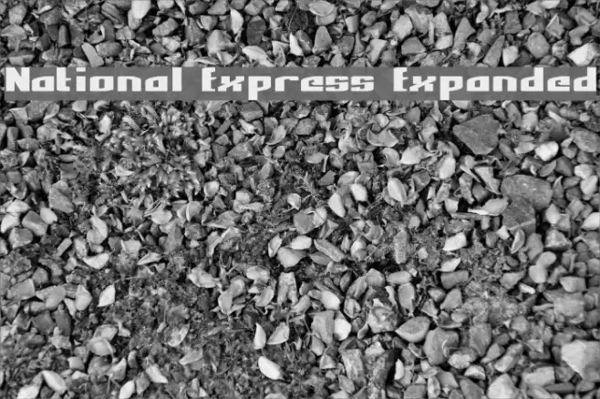 National Express Expanded Schriftart examples