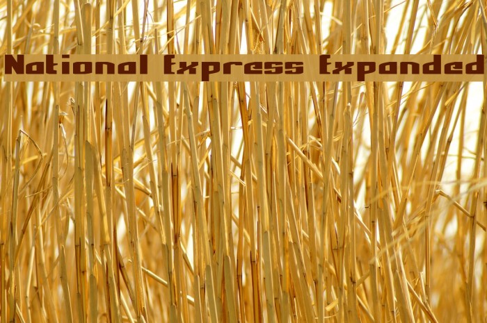 National Express Expanded Font examples