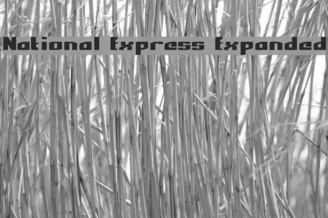National Express Expanded Schriftart examples