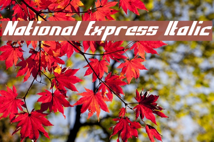 National Express Italic Font examples