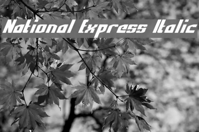 National Express Italic Example 2
