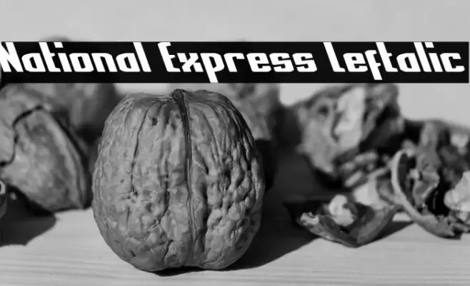 National Express Leftalic Font examples