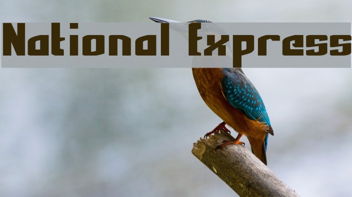 National Express Font examples