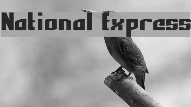 National Express Example 2