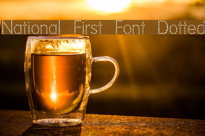 National First Font Dotted Font examples
