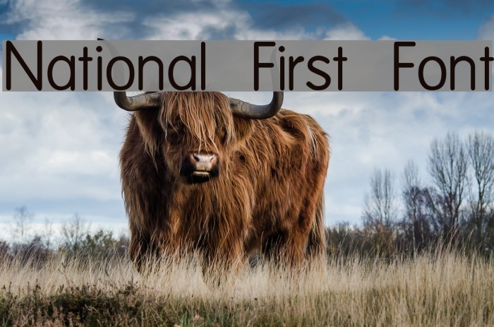 National First Font Font examples