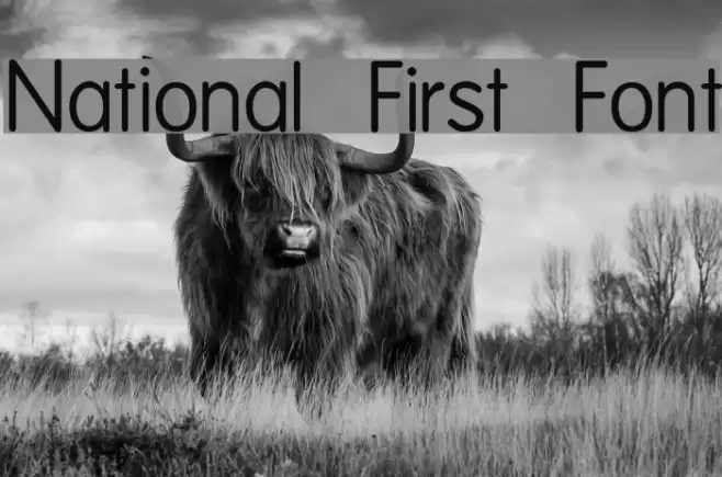 National First Font フォント examples