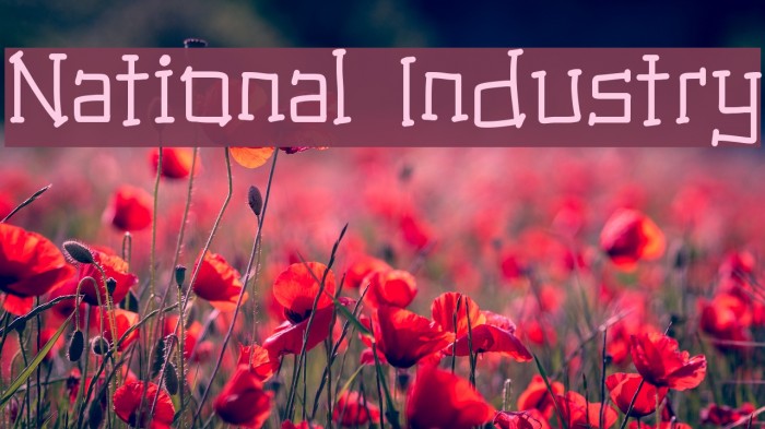 National Industry Example 3