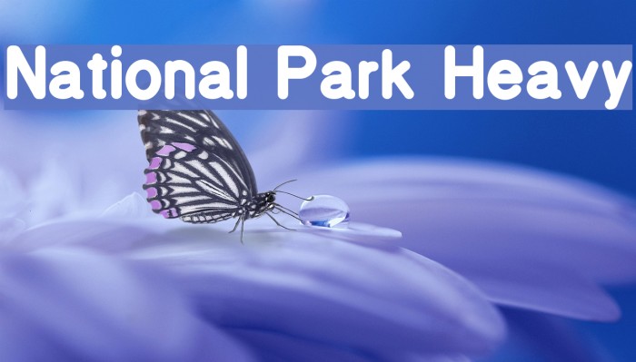 National Park Heavy フォント examples