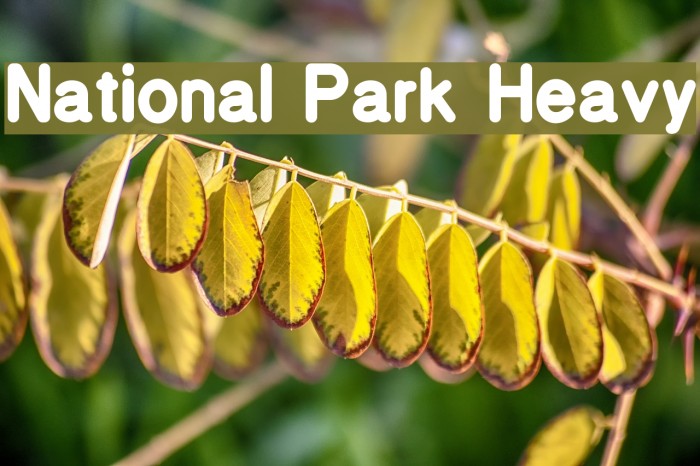 National Park Heavy フォント examples