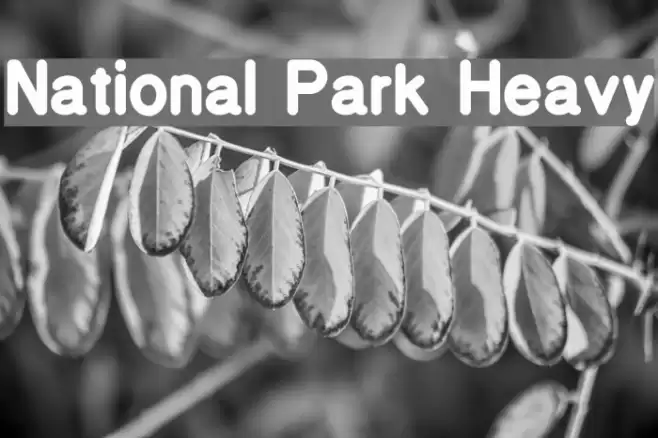 National Park Heavy フォント examples