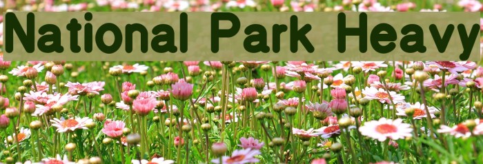 National Park Heavy フォント examples