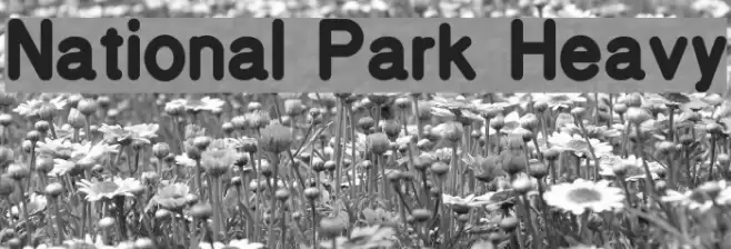 National Park Heavy フォント examples