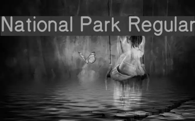National Park Regular Example 2