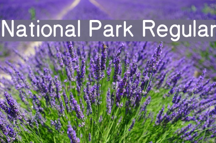 National Park Regular Font examples