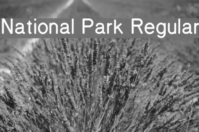 National Park Regular Example 3