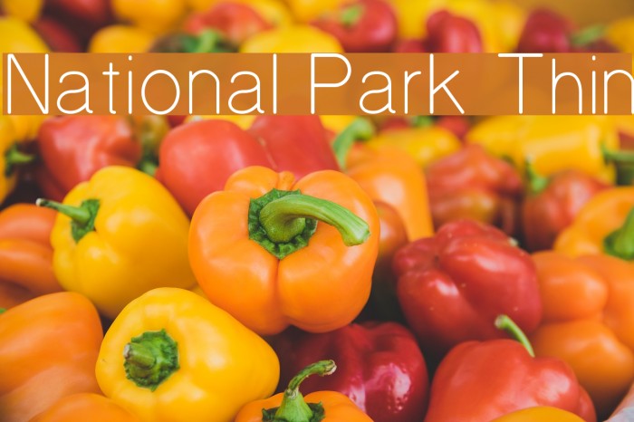 National Park Thin Font examples