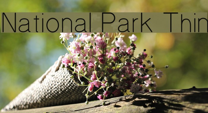 National Park Thin Font examples