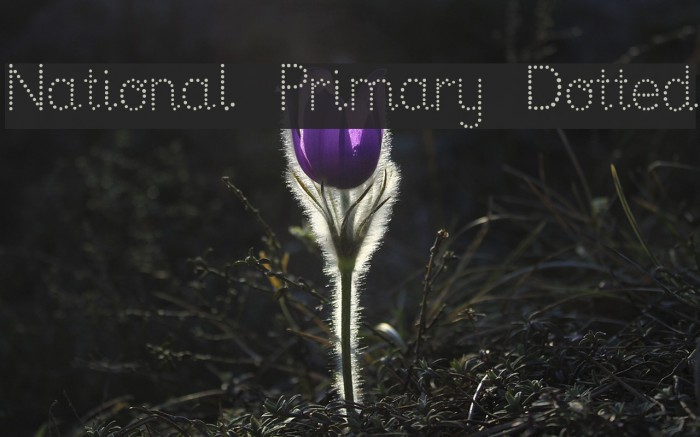 National Primary Dotted Example 1