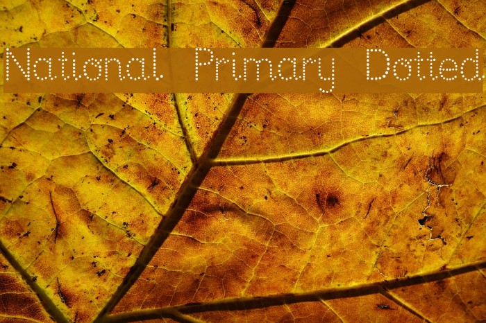 National Primary Dotted Example 3