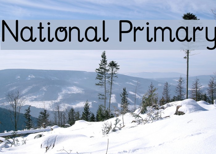National Primary Font examples