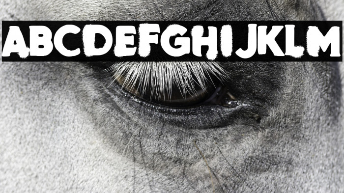 National Spain Example 2