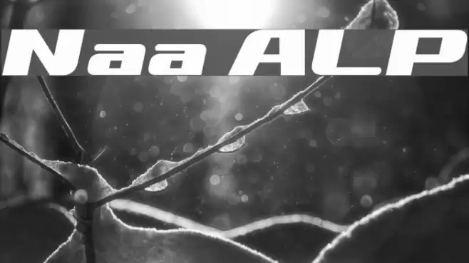 Nationalyze ALP Font examples