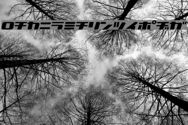 NationalyzeKAT Font examples