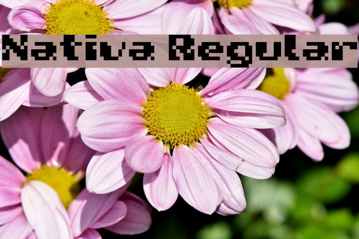 Nativa Regular Font examples