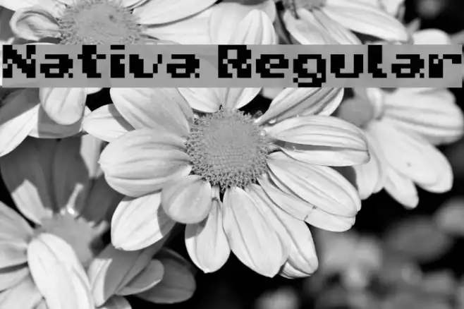 Nativa Regular Example 1