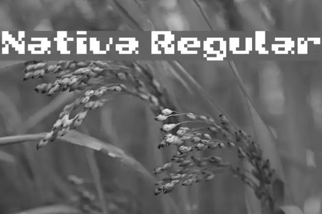 Nativa Regular Example 2