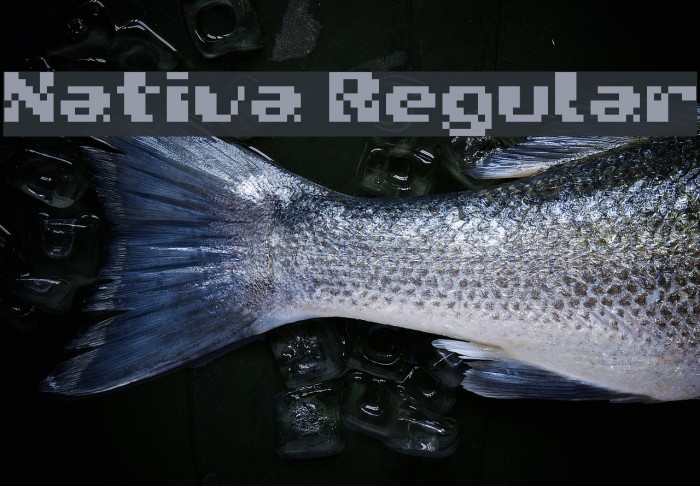 Nativa Regular Font examples