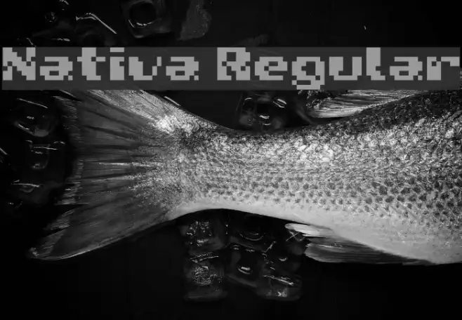 Nativa Regular Example 3