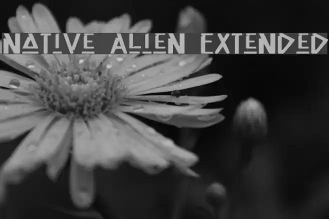 Native Alien Extended Polices examples