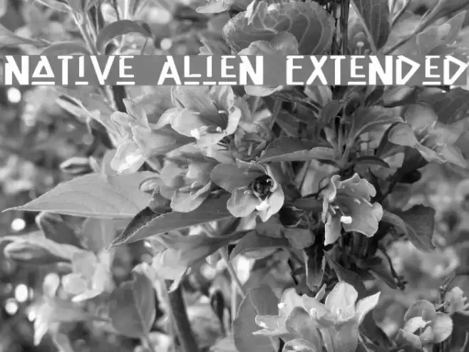 Native Alien Extended Polices examples