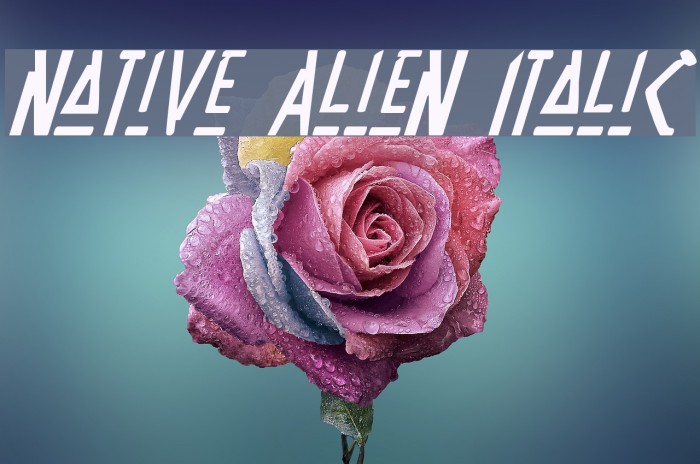 Native Alien Italic Font examples