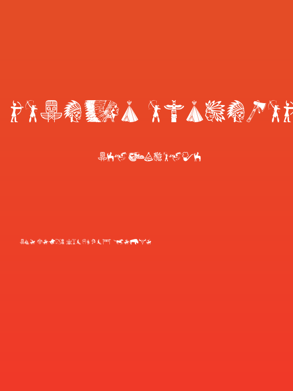 Native American Indians Poster