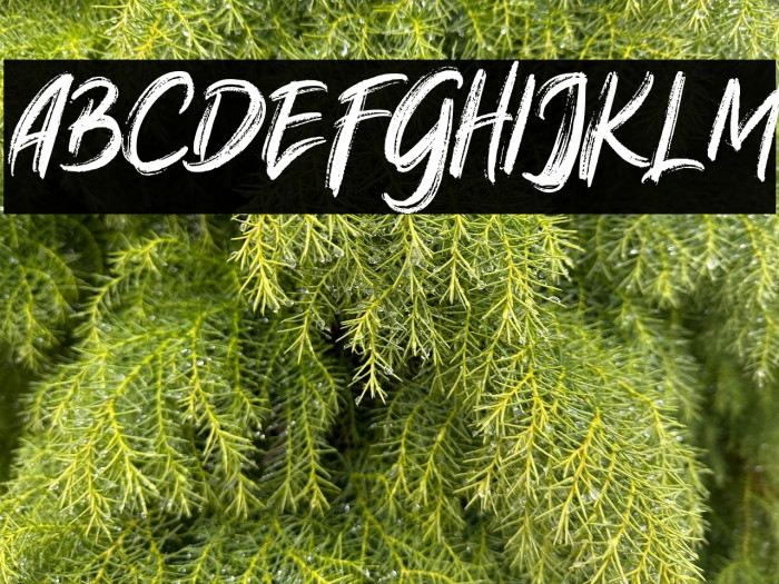 NativeBrushFREE Example 2