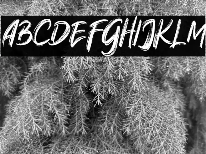 NativeBrushFREE Example 2