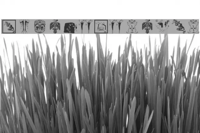NativeDesigns Example 1