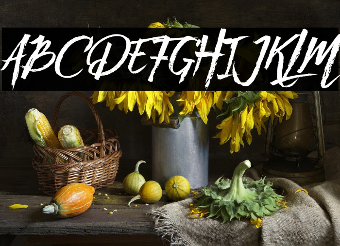 NativeLand Example 1