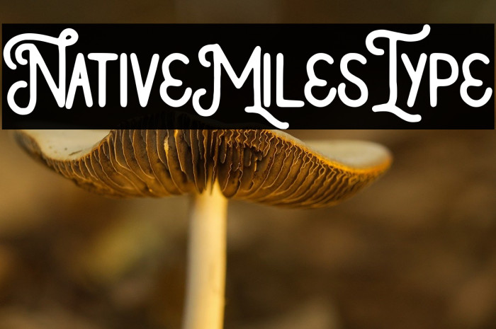 NativeMilesType Example 2