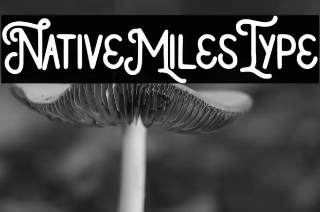 NativeMilesType Font examples