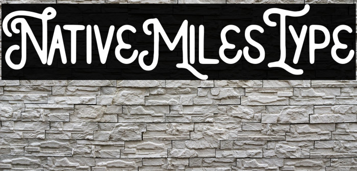 NativeMilesType Example 3