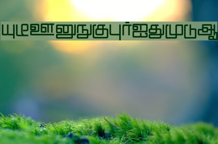 Nattai Regular Example 1