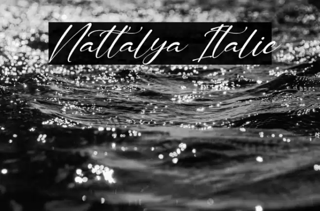 Nattalya Italic Font examples