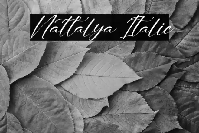 Nattalya Italic Font examples
