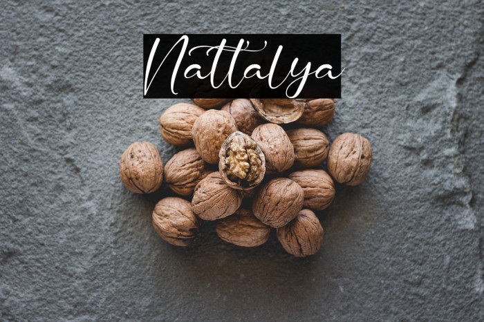Nattalya Example 1