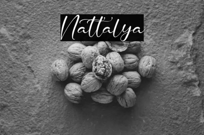 Nattalya Font examples