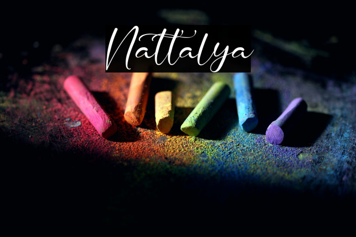 Nattalya Example 2